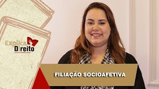 Explica Direito Filiação Socioafetiva  2019 [upl. by Lleze]