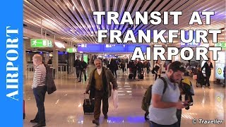 TRANSIT WALK AT FRANKFURT Airport FRA Terminal 1  Connection Flight Transfer Arriving amp Departing [upl. by Lrae273]